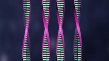 Le syndrome de l'X fragile