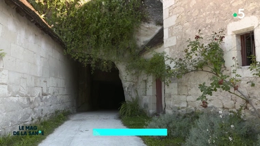 Comment les champignons poussent-ils dans  une carrière ?