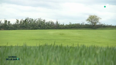 Quels sont les liens  entre la pollution et le cancer du sein ?