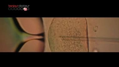 Exposition : zoom sur les bébés de la science