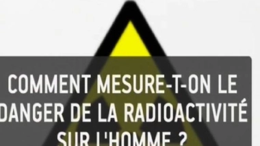 Ch@t : Japon, vos questions sur les risques nucléaires