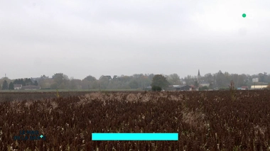 Bientôt la fin des ordonnances pour consulter un kiné ?