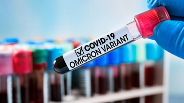 Image d'illustration