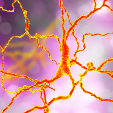 Maladie de Huntington : une affection neurologique incurable