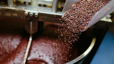 Chocolat : plongez dans les secrets de sa fabrication