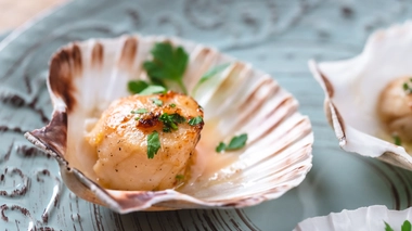 Coquilles Saint-Jacques : de la mer à votre assiette