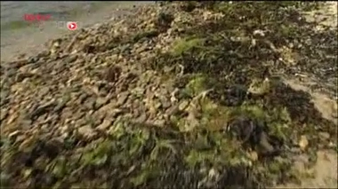 L'iode dans tous ses états