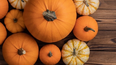 Citrouille et potiron : qui est qui ?