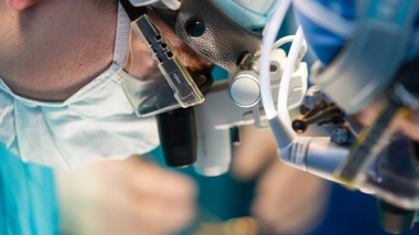 Un cœur de porc, génétiquement modifié, greffé sur un humain : une première mondiale