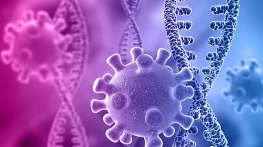 Covid : sommes-nous tous égaux face à l'infection ?