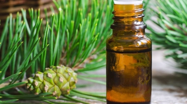 Les bienfaits des huiles essentielles de sapin