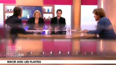 Plantes : le thé vert empêche-t-il la fixation du fer ?