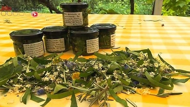 Comment lutter contre la fatigue grâce aux plantes ?