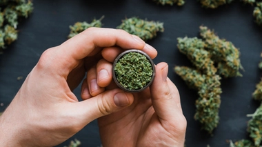 Cannabis : "Plus notre cerveau est jeune, plus le risque de dépendance est élevé"