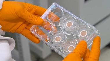 Quand les cosmétiques sont testés... sur de la peau humaine recyclée