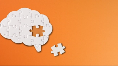 Quatre choses à savoir sur le cerveau