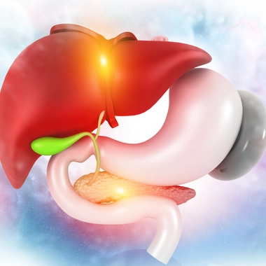 La vésicule biliaire et ses calculs