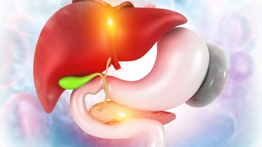 Vésicule biliaire : comment traiter les calculs