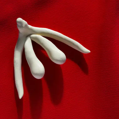Plaisir féminin : le clitoris, cet inconnu !