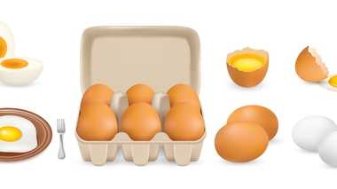 L'œuf dans tous ses états !