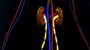 Ch@t : Infections urinaires