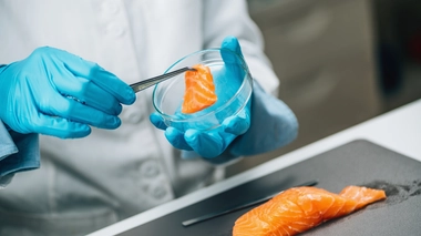 Aliments : en quoi consiste un contrôle sanitaire ?