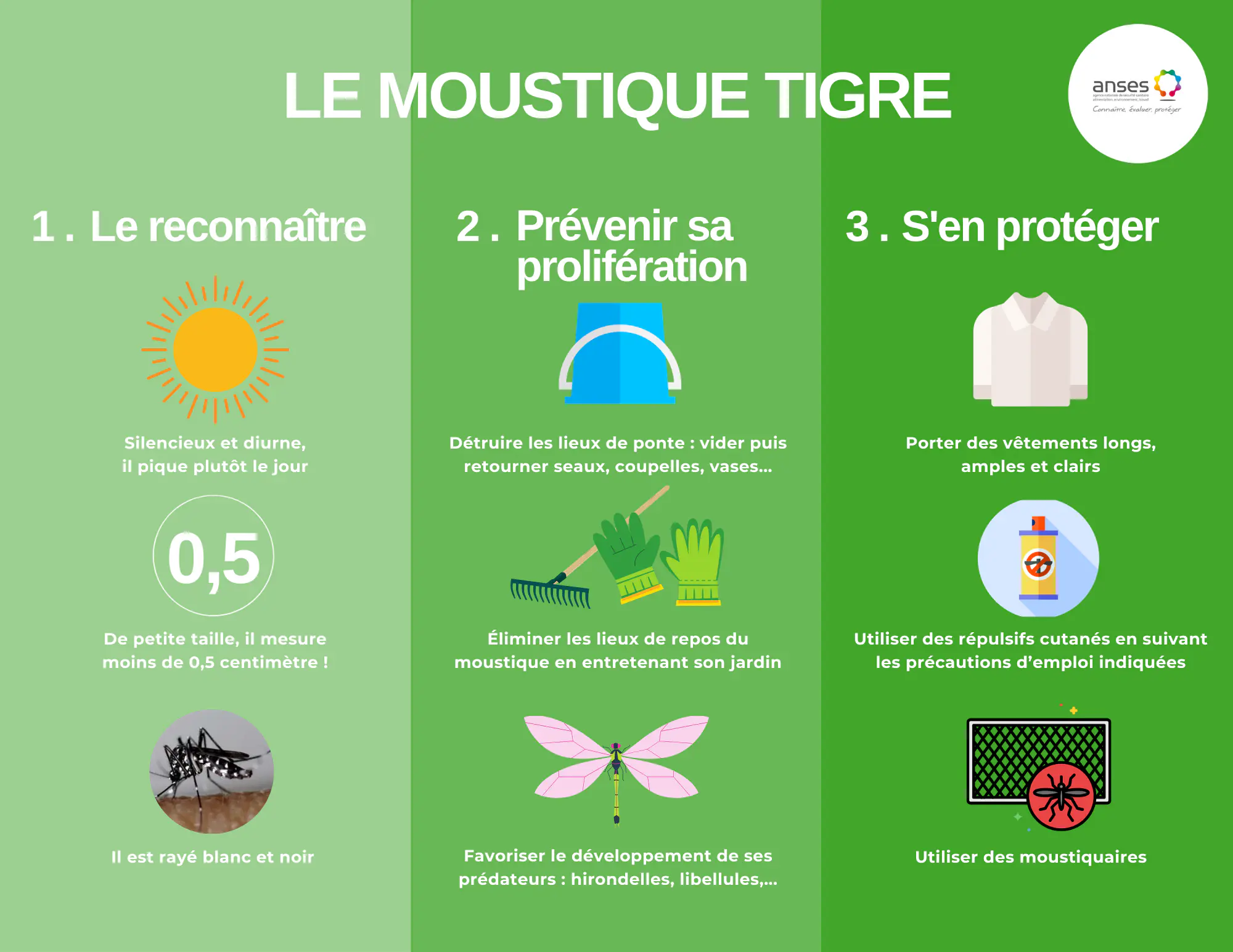 Guide de bonnes pratiques pour se protéger et prévenir les piqûres de moustique tigre  —  Anses