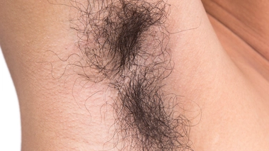 À quoi servent les poils ?