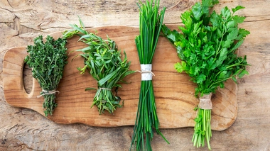 Des astuces pour préserver les bienfaits des herbes aromatiques