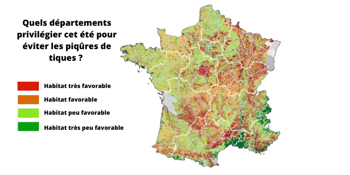 CARTE. Quels départements privilégier cet été pour éviter les piqûres de tiques ?