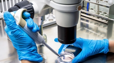 Cancer du sein : bientôt un traitement pour la moitié des patientes ?