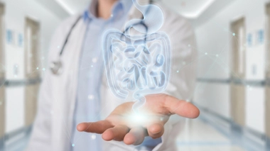 Les vertus thérapeutiques du microbiote présent dans l'appareil digestif suscitent un intérêt croissant