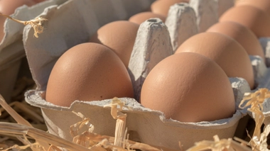 Salmonelles : rappel de boîtes d’oeufs vendues chez Leclerc et en supérette