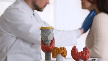 Hypothyroïdie, hyperthyroïdie : quand la TSH se dérègle