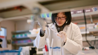 Des scientifiques font “revivre” des cellules et des organes de porcs morts