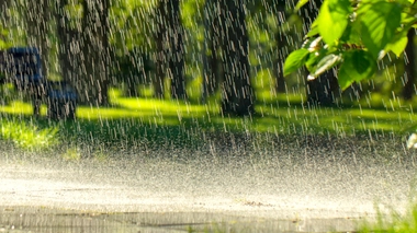 Pollution : "Il n'y a nulle part sur Terre où l'eau de pluie serait propre à la consommation"