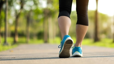 Pourquoi l’humain est-il bipède ?