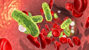 La septicémie ou sepsis : quand les germes envahissent l'organisme