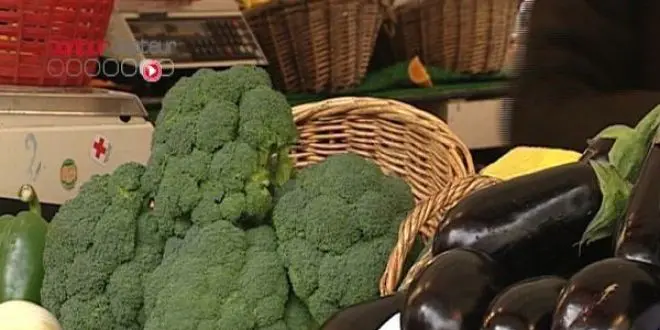 Les décharges sauvages, mal endémique de Yaoundé 