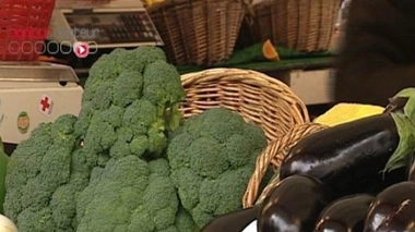 Ch@t : Végétaliens et végétariens