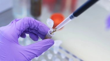 Les chercheurs vont analyser 100 000 échantillons d'ici 2027