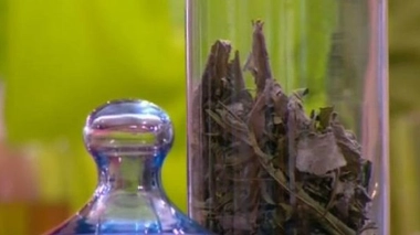 Ch@t : Des plantes contre l'anxiété