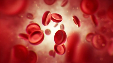 Hémophilie : une maladie rare et héréditaire