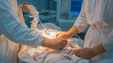 L'Espagne demeurait en 2021 la championne mondiale des greffes