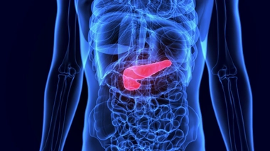 On estime à environ 14.000 le nombre de nouveaux cas de cancer du pancréas en France