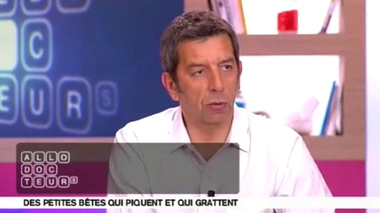 Piqûres d'insectes : des peaux sucrées pour cibles ?