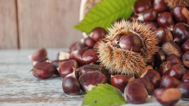 Arrêtez de confondre marrons et châtaignes !
