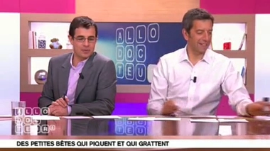 Piqûres d'insectes : des réactions allergiques ?