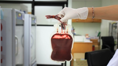 Mouvement fondé dans les années 1870 aux Etats-Unis par Charles Russell, les Témoins de Jéhovah considèrent que le sang est sacré.