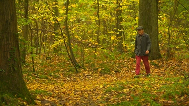 L'activité physique, une alliée contre le cancer du pancréas